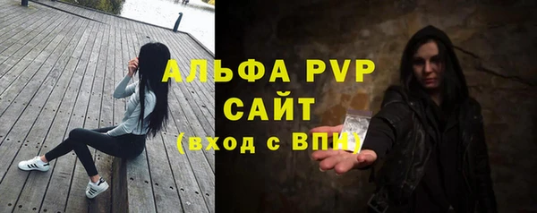 стаф Ельня