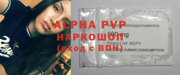 стаф Ельня