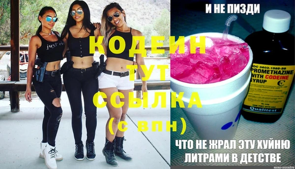 винт Елизово