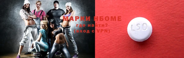стаф Ельня