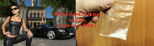 стаф Ельня