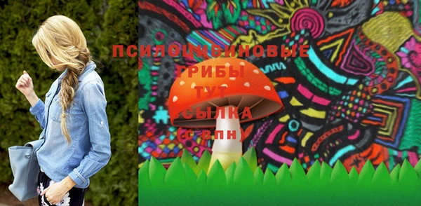 винт Елизово