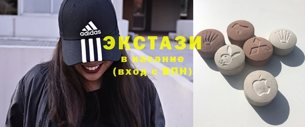 стаф Ельня