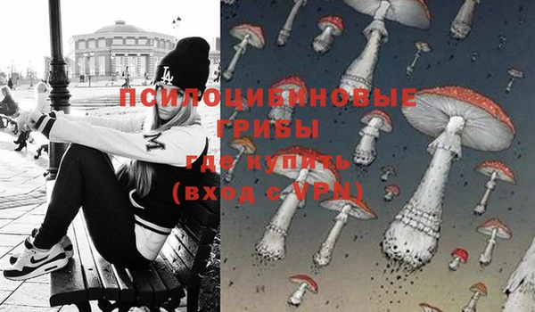 винт Елизово
