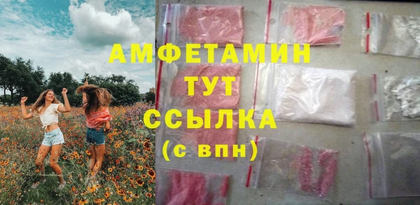 стаф Ельня