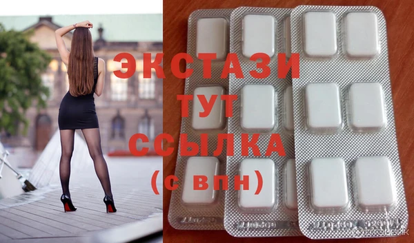 стаф Ельня