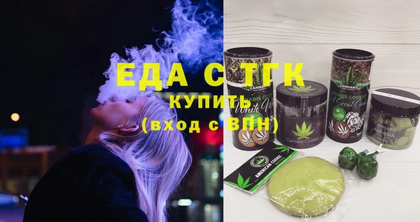 стаф Ельня