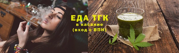 стаф Ельня