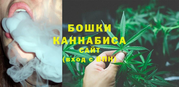 стаф Ельня